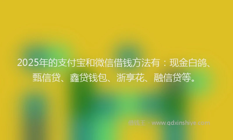 2025年的支付宝和微信借钱方法有：现金白鸽、甄信贷、鑫贷钱包、浙享花、融信贷等。