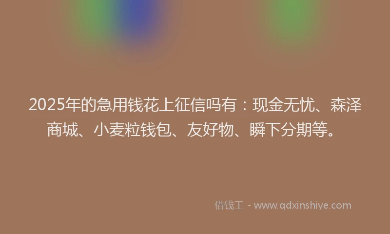 2025年的急用钱花上征信吗有：现金无忧、森泽商城、小麦粒钱包、友好物、瞬下分期等。