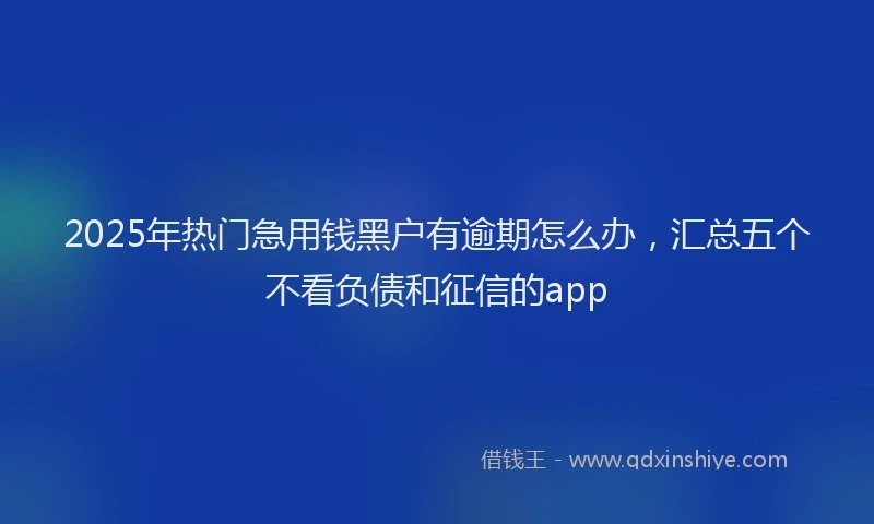 2025年热门急用钱黑户有逾期怎么办，汇总五个不看负债和征信的app