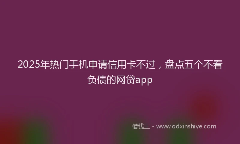 2025年热门手机申请信用卡不过，盘点五个不看负债的网贷app