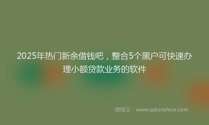 2025年热门新余借钱吧，整合5个黑户可快速办理小额贷款业务的软件