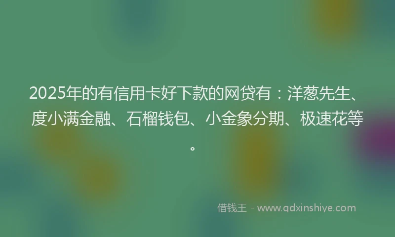 2025年的有信用卡好下款的网贷有：洋葱先生、度小满金融、石榴钱包、小金象分期、极速花等。