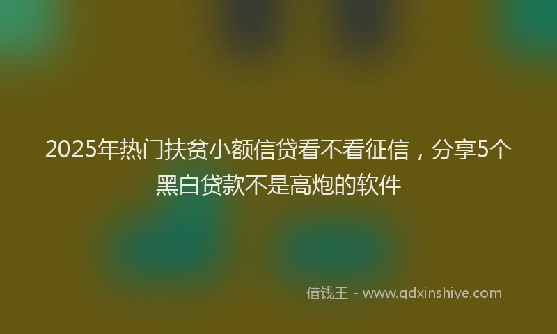 2025年热门扶贫小额信贷看不看征信，分享5个黑白贷款不是高炮的软件