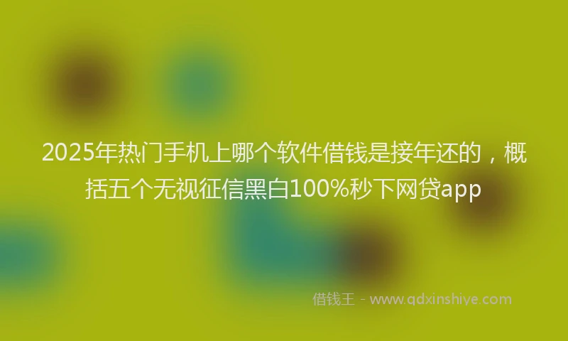 2025年热门手机上哪个软件借钱是接年还的，概括五个无视征信黑白100%秒下网贷app