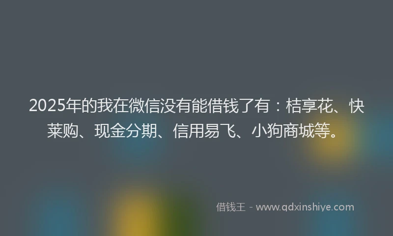 2025年的我在微信没有能借钱了有：桔享花、快莱购、现金分期、信用易飞、小狗商城等。