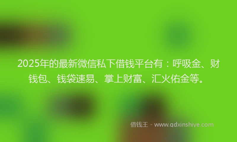 2025年的最新微信私下借钱平台有：呼吸金、财钱包、钱袋速易、掌上财富、汇火佑金等。