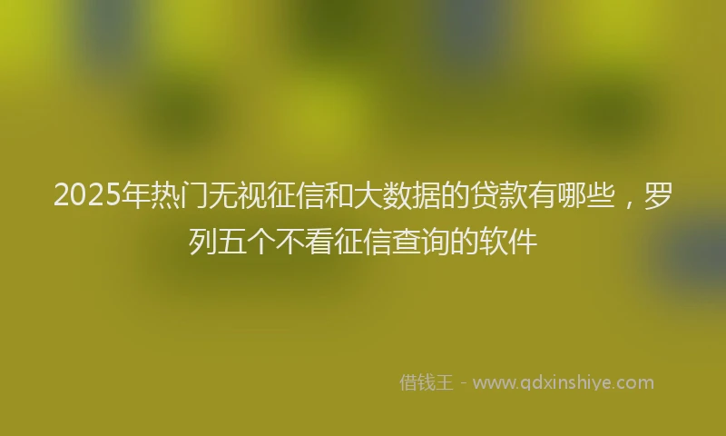2025年热门无视征信和大数据的贷款有哪些，罗列五个不看征信查询的软件