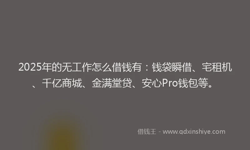 2025年的无工作怎么借钱有：钱袋瞬借、宅租机、千亿商城、金满堂贷、安心Pro钱包等。
