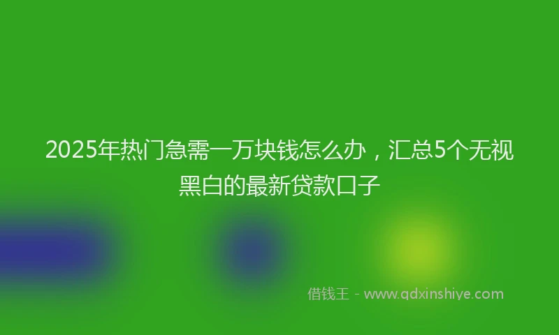 2025年热门急需一万块钱怎么办，汇总5个无视黑白的最新贷款口子