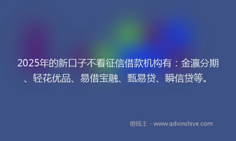 2025年的新口子不看征信借款机构有：金瀛分期、轻花优品、易借宝融、甄易贷、瞬信贷等。