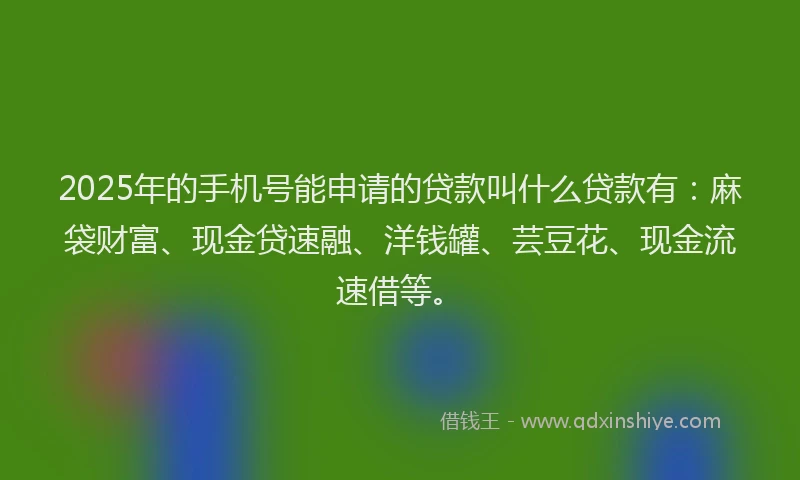 2025年的手机号能申请的贷款叫什么贷款有：麻袋财富、现金贷速融、洋钱罐、芸豆花、现金流速借等。