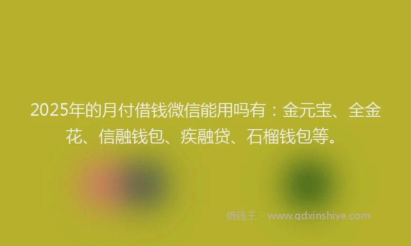 2025年的月付借钱微信能用吗有：金元宝、全金花、信融钱包、疾融贷、石榴钱包等。