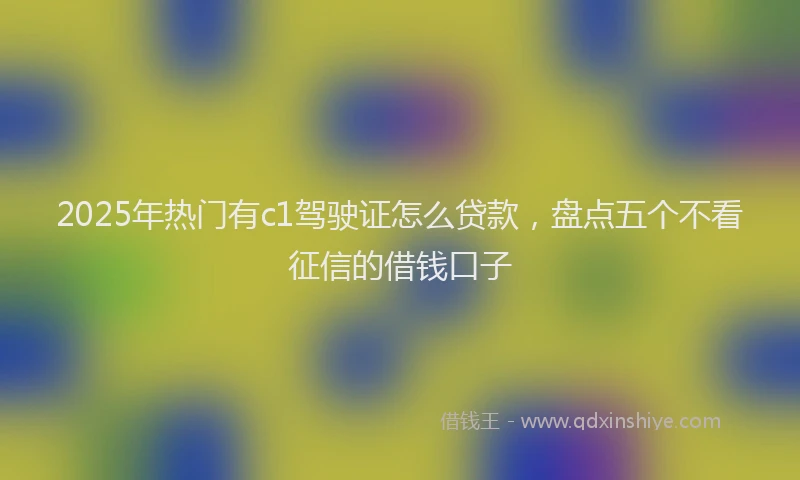 2025年热门有c1驾驶证怎么贷款，盘点五个不看征信的借钱口子