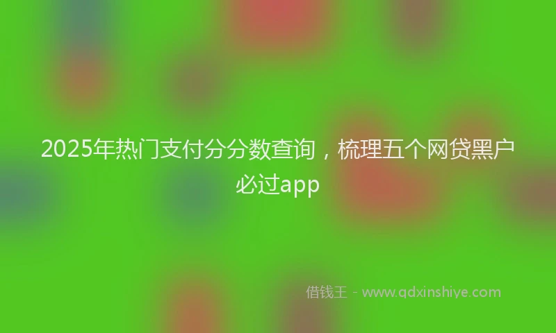 2025年热门支付分分数查询，梳理五个网贷黑户必过app