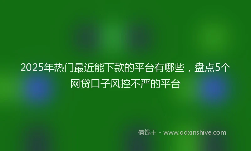 2025年热门最近能下款的平台有哪些，盘点5个网贷口子风控不严的平台