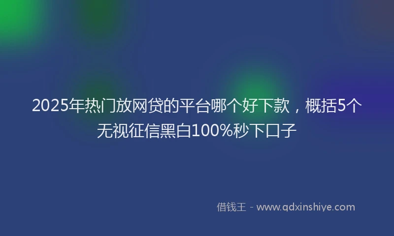 2025年热门放网贷的平台哪个好下款，概括5个无视征信黑白100%秒下口子