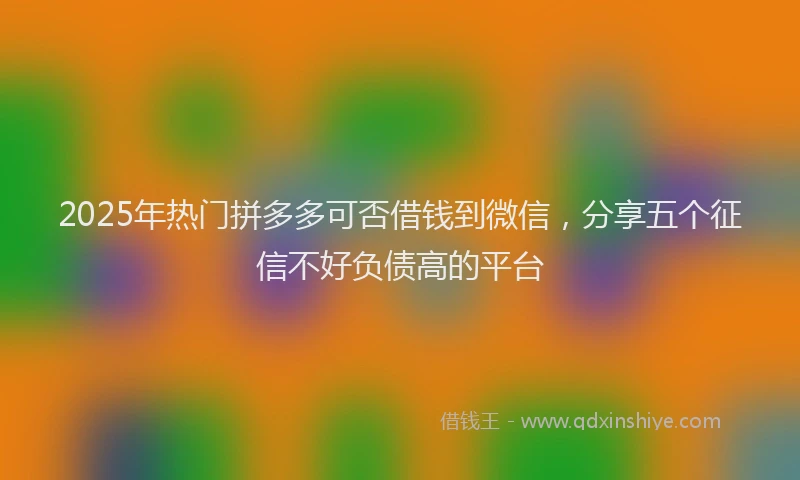 2025年热门拼多多可否借钱到微信，分享五个征信不好负债高的平台