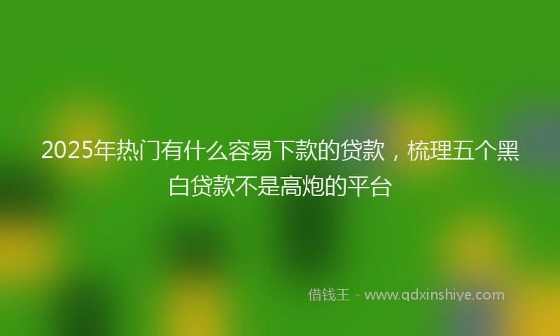 2025年热门有什么容易下款的贷款，梳理五个黑白贷款不是高炮的平台