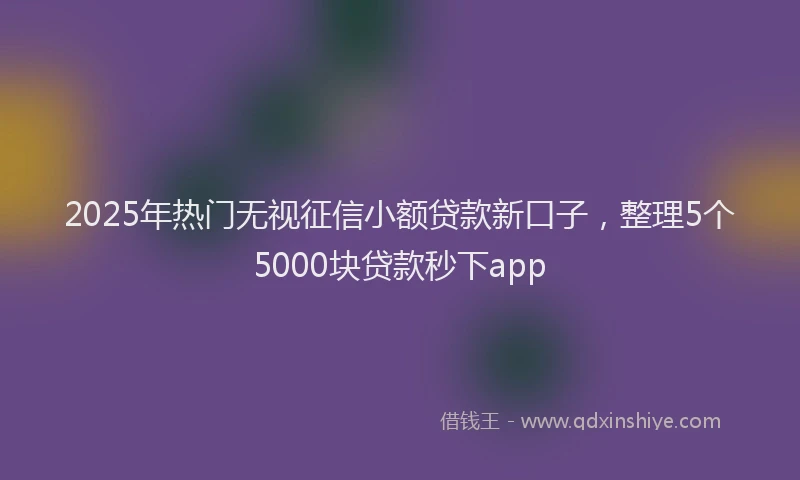 2025年热门无视征信小额贷款新口子，整理5个5000块贷款秒下app