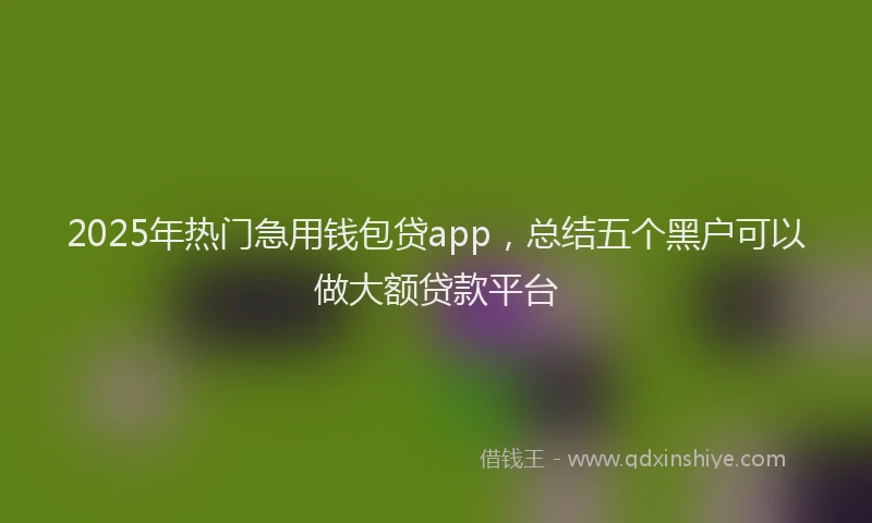 2025年热门急用钱包贷app，总结五个黑户可以做大额贷款平台