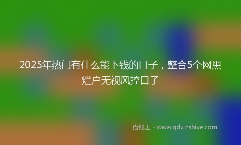 2025年热门有什么能下钱的口子，整合5个网黑烂户无视风控口子