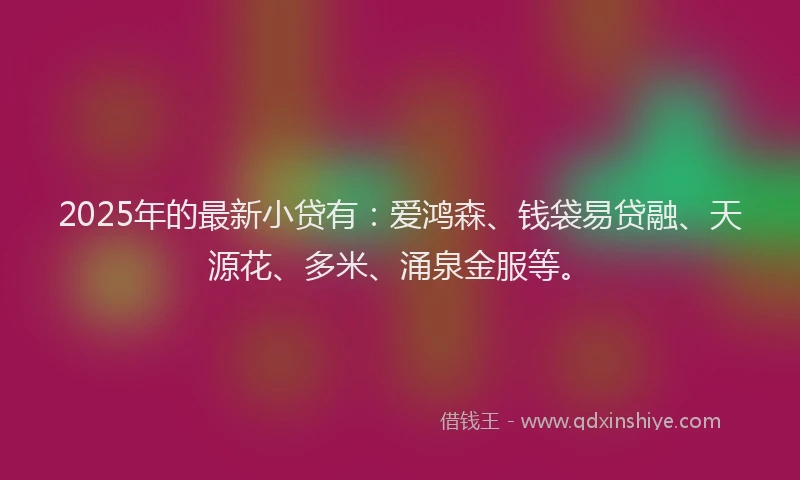 2025年的最新小贷有：爱鸿森、钱袋易贷融、天源花、多米、涌泉金服等。