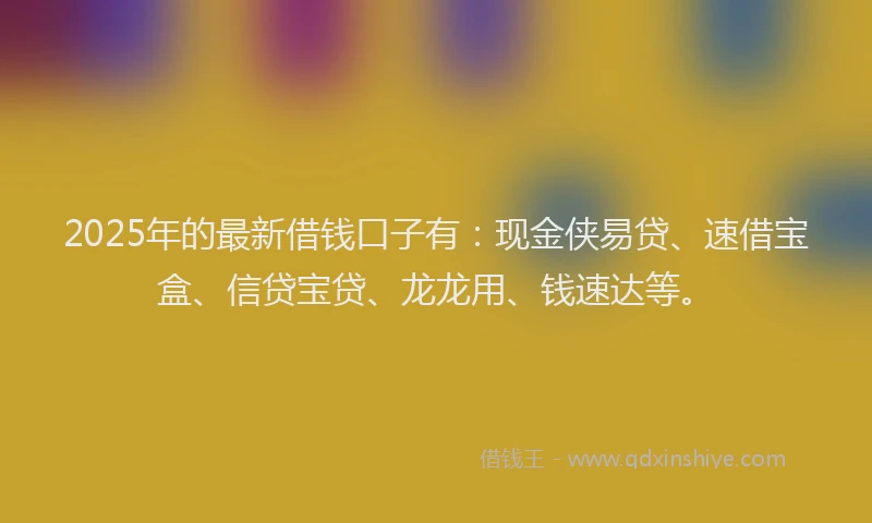 2025年的最新借钱口子有：现金侠易贷、速借宝盒、信贷宝贷、龙龙用、钱速达等。