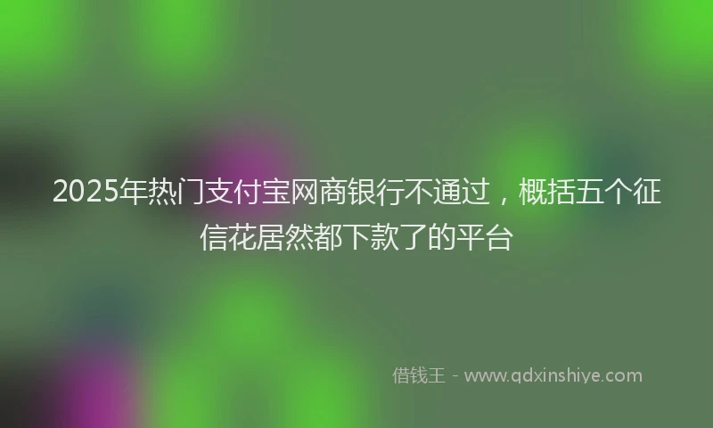 2025年热门支付宝网商银行不通过，概括五个征信花居然都下款了的平台