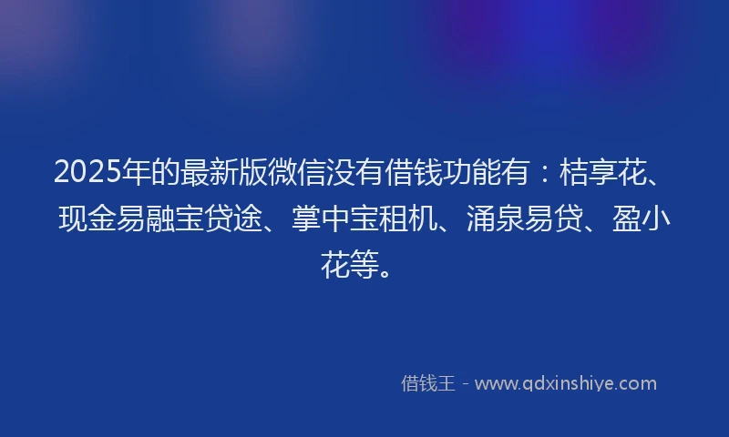 2025年的最新版微信没有借钱功能有：桔享花、现金易融宝贷途、掌中宝租机、涌泉易贷、盈小花等。