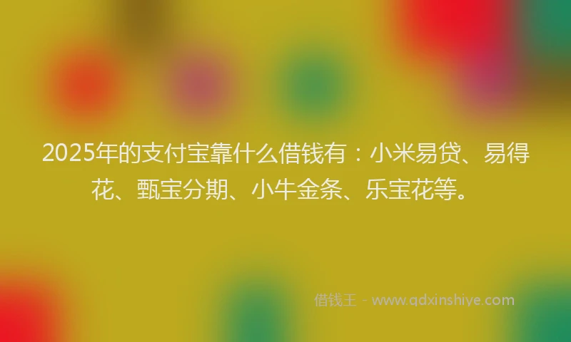 2025年的支付宝靠什么借钱有：小米易贷、易得花、甄宝分期、小牛金条、乐宝花等。