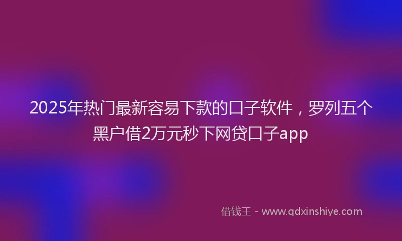 2025年热门最新容易下款的口子软件，罗列五个黑户借2万元秒下网贷口子app