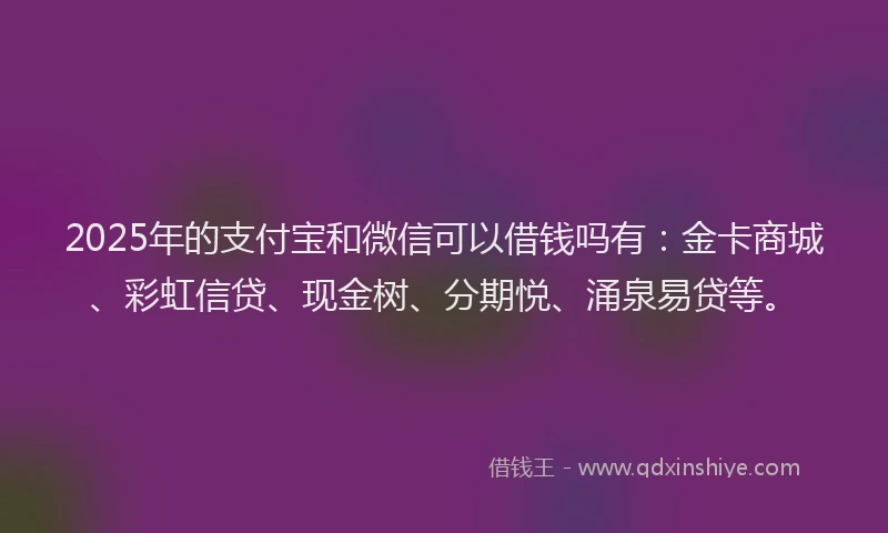 2025年的支付宝和微信可以借钱吗有：金卡商城、彩虹信贷、现金树、分期悦、涌泉易贷等。