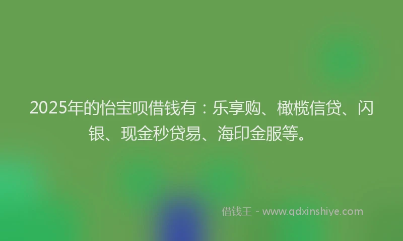 2025年的怡宝呗借钱有：乐享购、橄榄信贷、闪银、现金秒贷易、海印金服等。