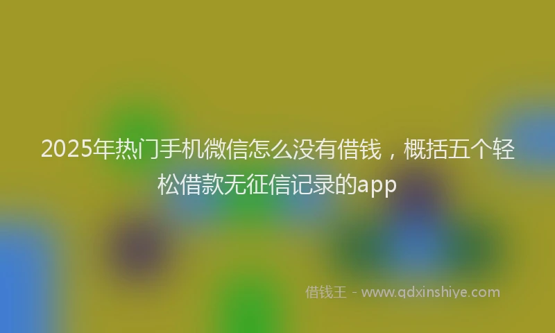 2025年热门手机微信怎么没有借钱，概括五个轻松借款无征信记录的app