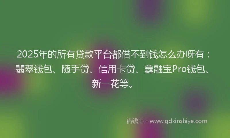 2025年的所有贷款平台都借不到钱怎么办呀有：翡翠钱包、随手贷、信用卡贷、鑫融宝Pro钱包、新一花等。