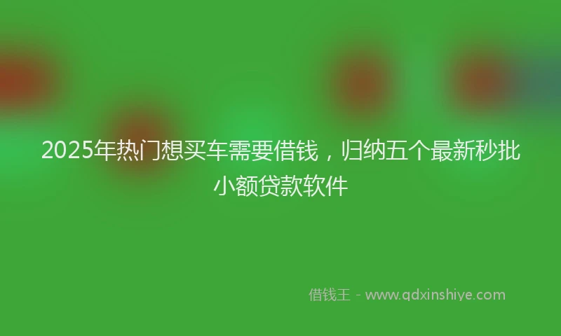 2025年热门想买车需要借钱，归纳五个最新秒批小额贷款软件