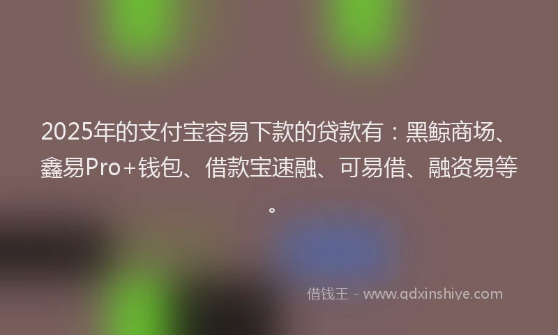 2025年的支付宝容易下款的贷款有：黑鲸商场、鑫易Pro+钱包、借款宝速融、可易借、融资易等。