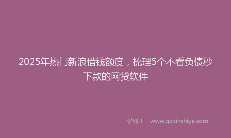 2025年热门新浪借钱额度，梳理5个不看负债秒下款的网贷软件