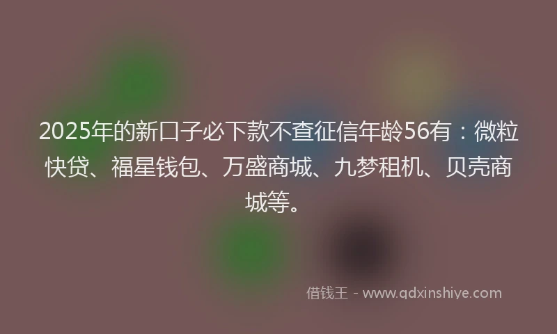 2025年的新口子必下款不查征信年龄56有：微粒快贷、福星钱包、万盛商城、九梦租机、贝壳商城等。