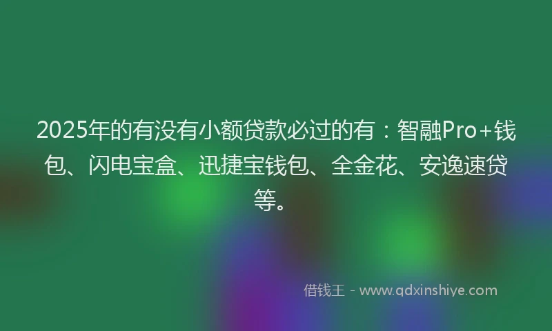 2025年的有没有小额贷款必过的有：智融Pro+钱包、闪电宝盒、迅捷宝钱包、全金花、安逸速贷等。
