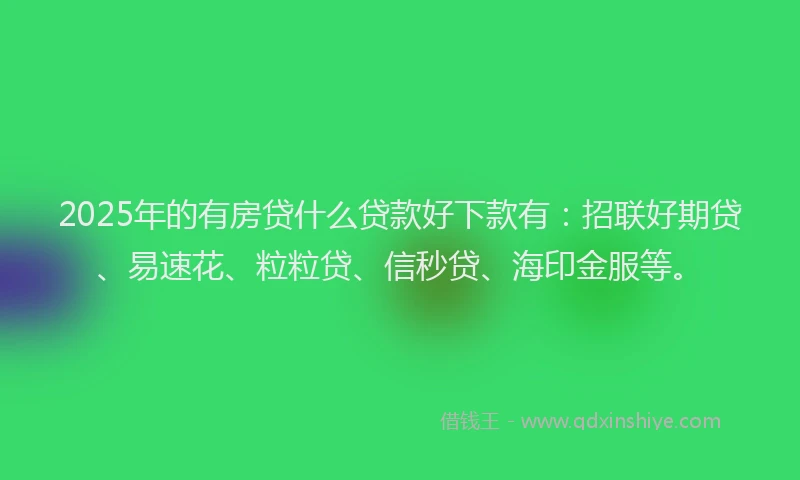 2025年的有房贷什么贷款好下款有：招联好期贷、易速花、粒粒贷、信秒贷、海印金服等。