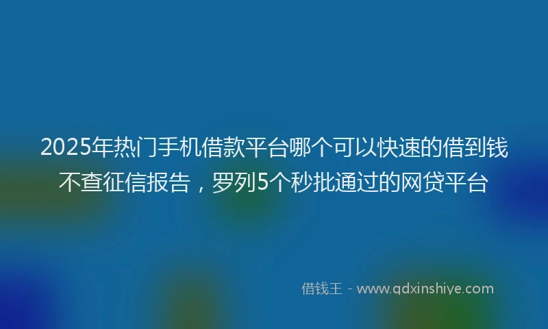 2025年热门手机借款平台哪个可以快速的借到钱不查征信报告，罗列5个秒批通过的网贷平台