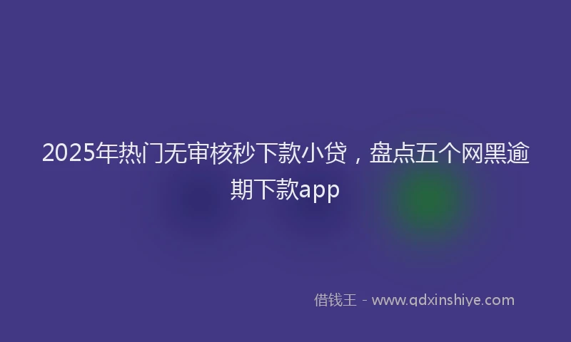 2025年热门无审核秒下款小贷，盘点五个网黑逾期下款app