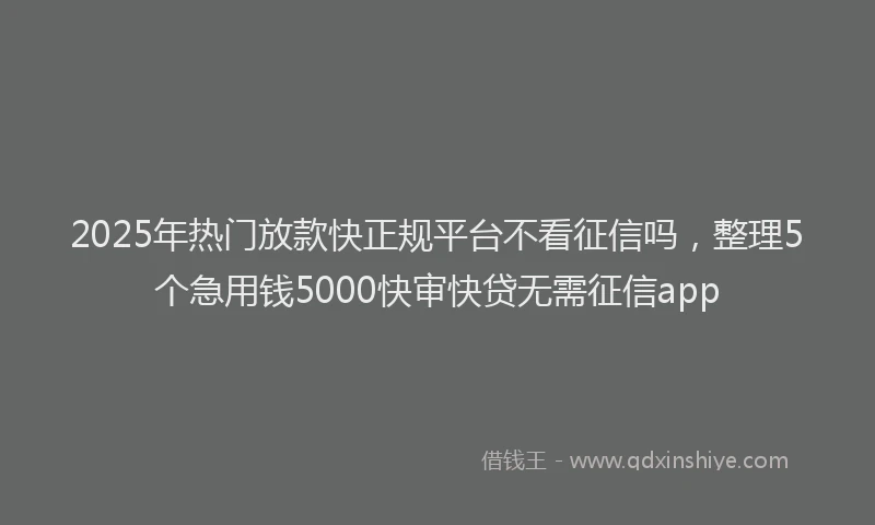2025年热门放款快正规平台不看征信吗，整理5个急用钱5000快审快贷无需征信app