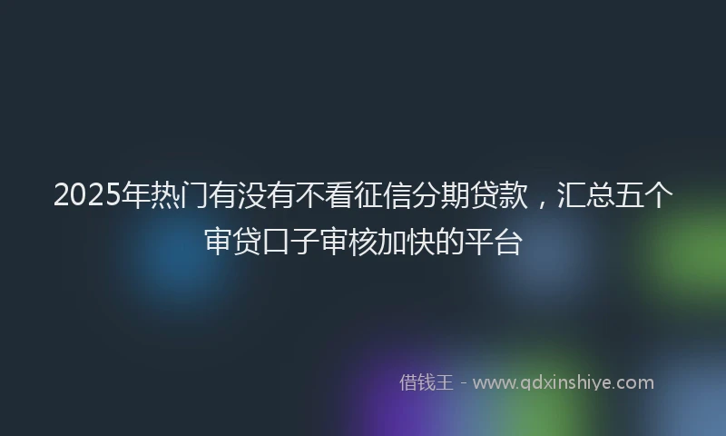 2025年热门有没有不看征信分期贷款，汇总五个审贷口子审核加快的平台