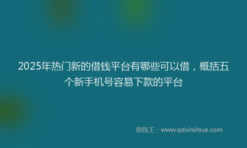 2025年热门新的借钱平台有哪些可以借，概括五个新手机号容易下款的平台