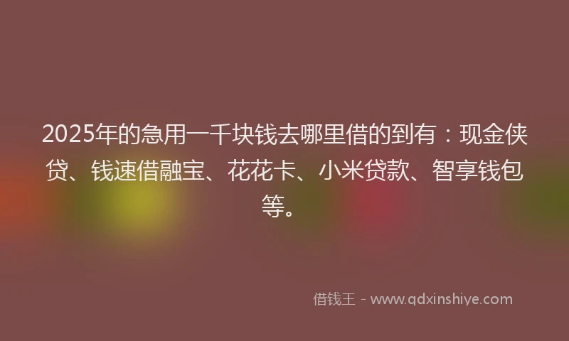 2025年的急用一千块钱去哪里借的到有：现金侠贷、钱速借融宝、花花卡、小米贷款、智享钱包等。