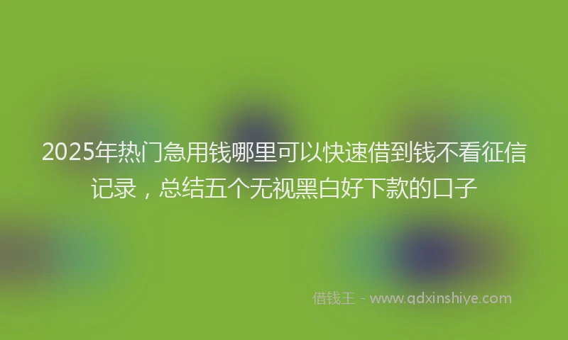 2025年热门急用钱哪里可以快速借到钱不看征信记录，总结五个无视黑白好下款的口子