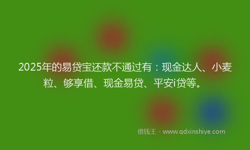 2025年的易贷宝还款不通过有：现金达人、小麦粒、够享借、现金易贷、平安i贷等。