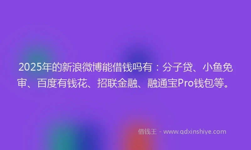 2025年的新浪微博能借钱吗有：分子贷、小鱼免审、百度有钱花、招联金融、融通宝Pro钱包等。